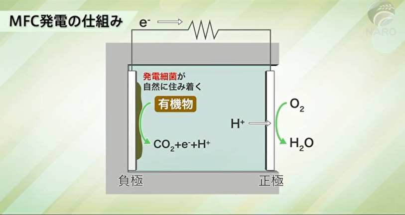 日本农研机构：微生物燃料电池MFC系统开发成功
