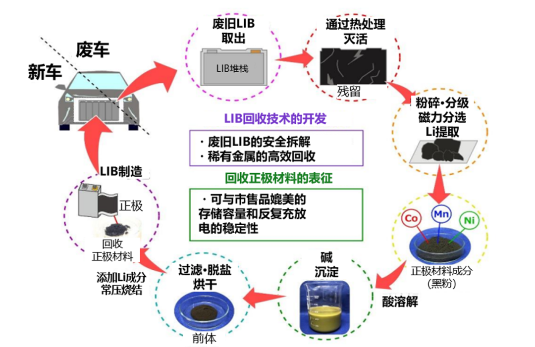 秋田大学×同和控股：成功回收废旧锂离子电池的正极材料