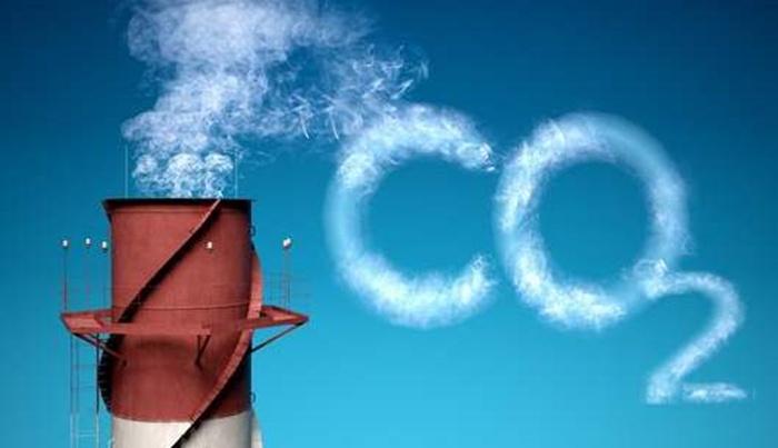 【新春特辑】超40%的海外日企致力于全球脱碳