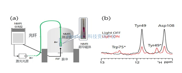 使用光照射NMR法获得光反应中间体的结构