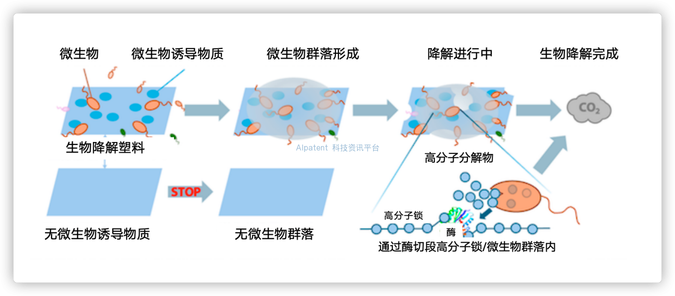 一种在海洋环境中快速降解生物降解塑料的技术