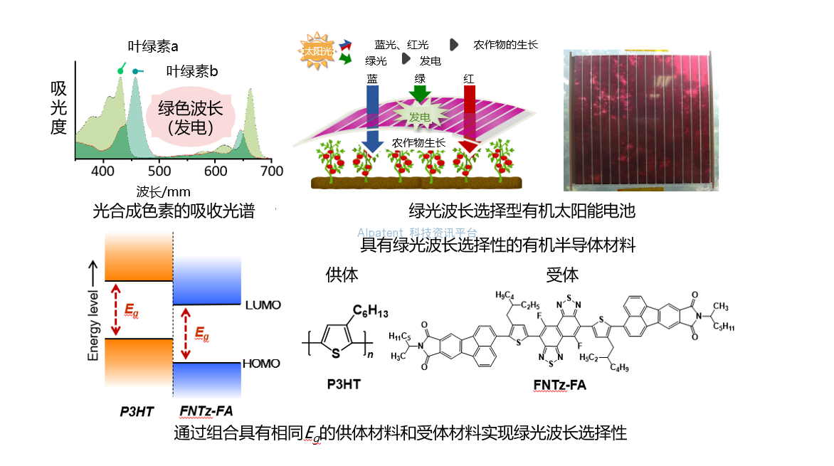一种利用绿光发电的有机太阳能电池