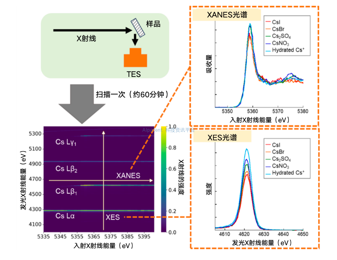 超导技术推动高能分辨率X射线吸收光谱学发展的新进展——多方面精密化学物种分析：以铯为例