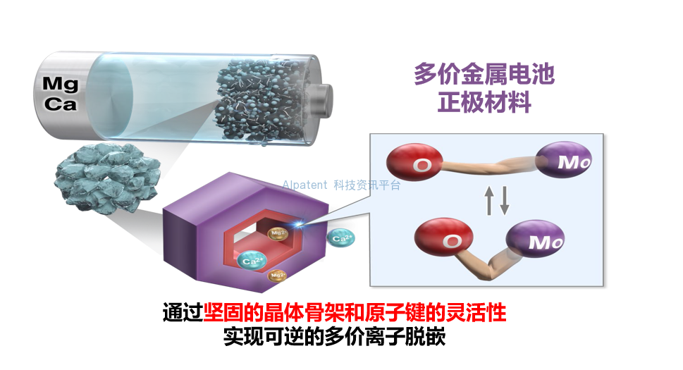 多价金属电池正极材料的新设计指南，关键在于晶体结构的稳健性和灵活性